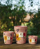 Baobab Vony Kopelika