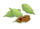 Cardamom