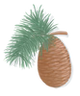 Cedar