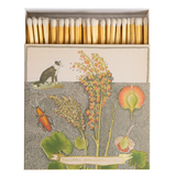 Chien Botanical Drawing Matches