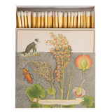 Chien Botanical Drawing Matches