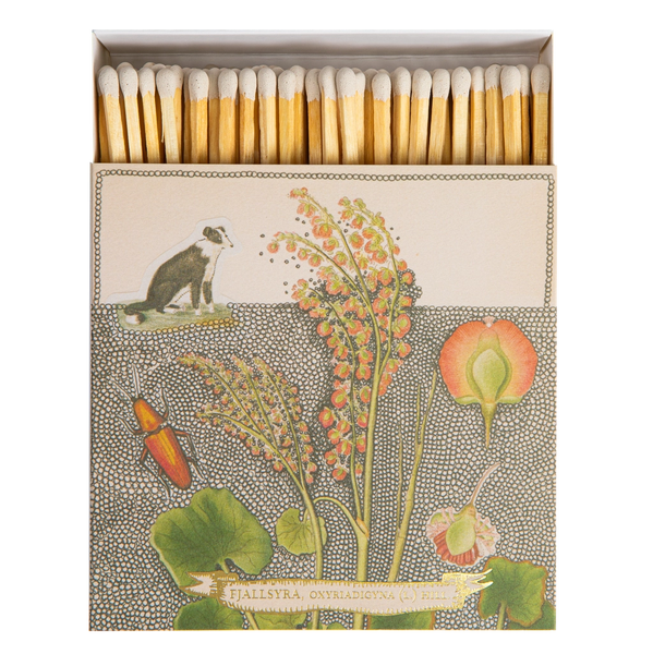 Chien Botanical Drawing Matches