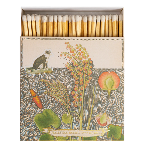 Chien Botanical Drawing Matches