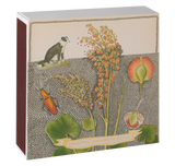Chien Botanical Drawing Matches