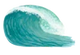 Sea Salt