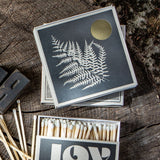 Fern Matches