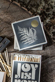 Fern Matches