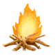 Wood fire
