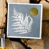 Fern Matches