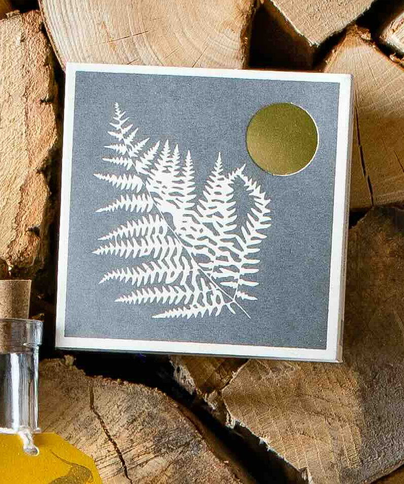 Fern Matches