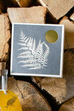 Fern Matches