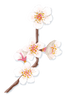Almond blossom