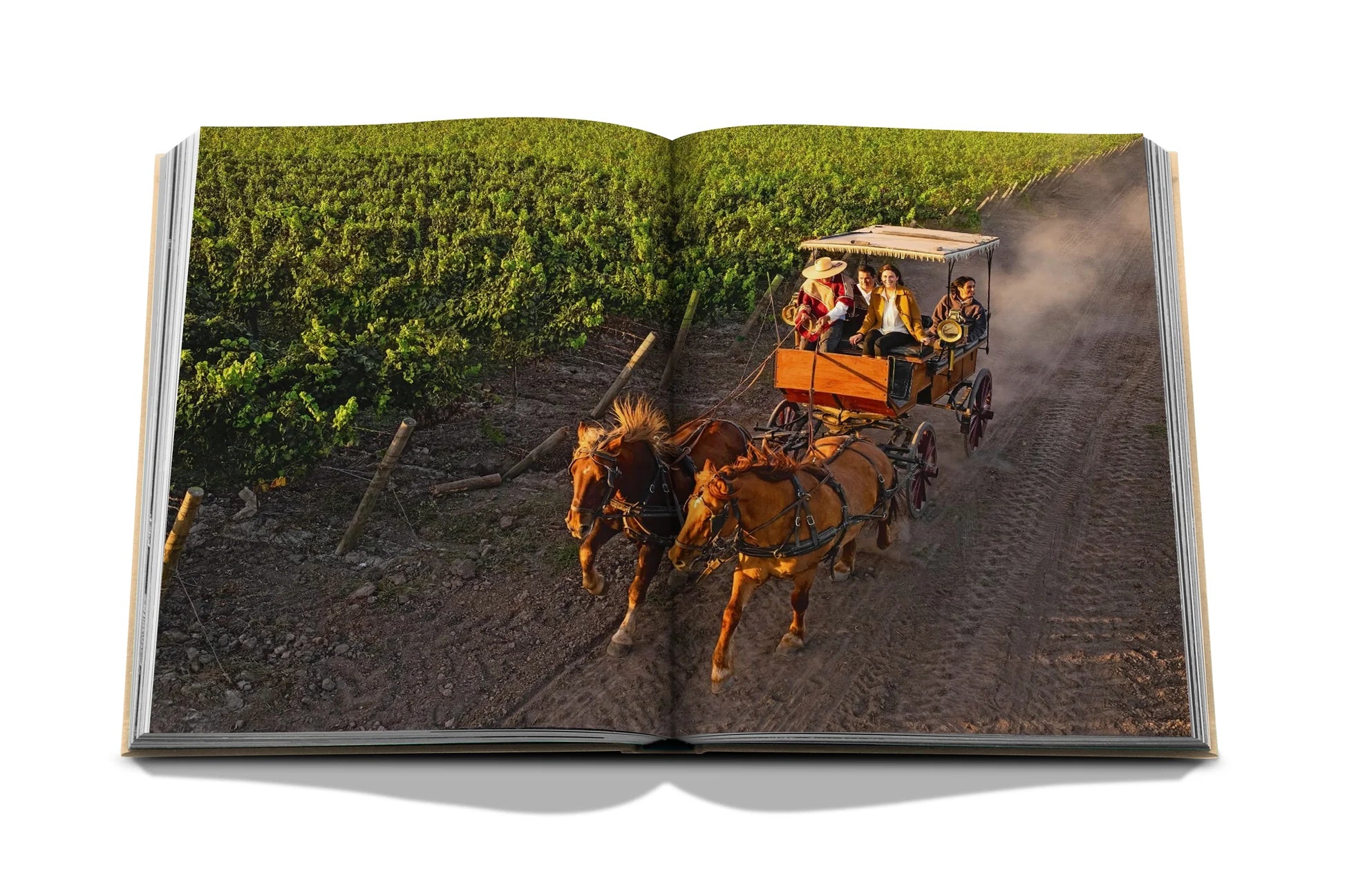 Wine & Travel Latin America