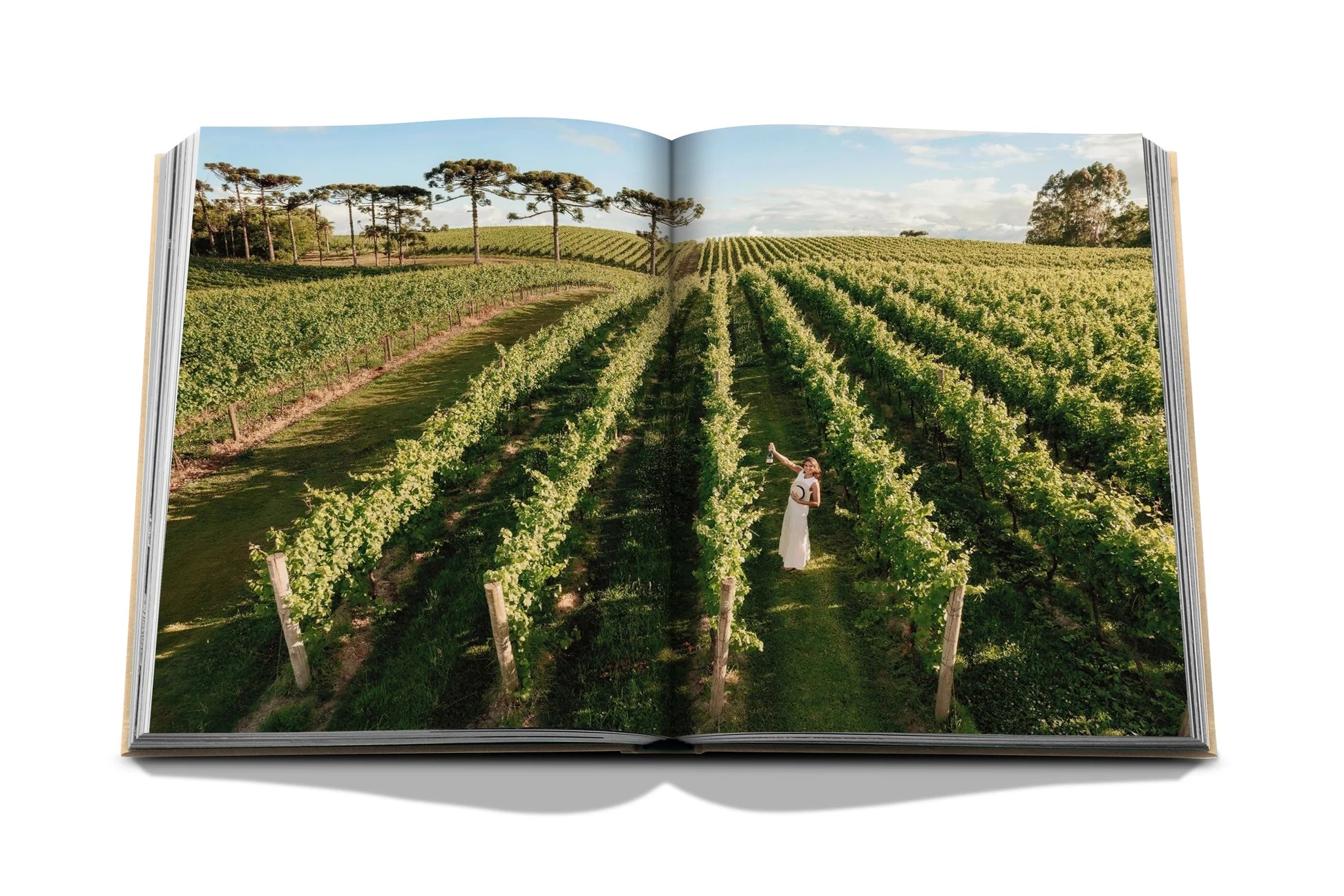 Wine & Travel Latin America