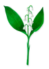 Lily of the valley