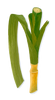 Rum