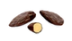Tonka Bean