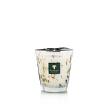 Baobab White World
