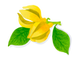 Ylang