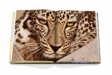 Arabian Leopard (Classic)